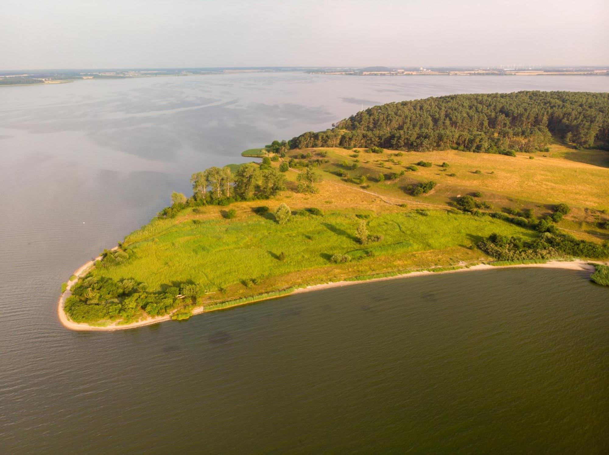 Ostsee Ferienhaus Usedom Hundefreundlich Familie Stopp Haus 22 Lutow Bagian luar foto